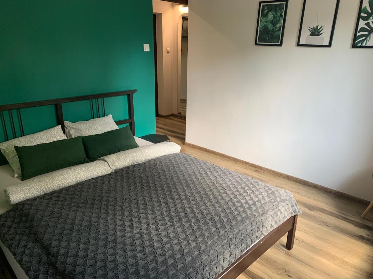 Apartament Z Widokiem タルノフスキェ・グルィ エクステリア 写真